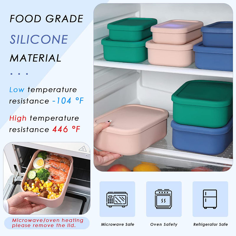 Bento Lunch Box resistente all - Meal Prep List recensione e prezzo